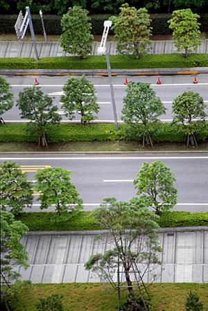 名古屋でペーパードライバー講習