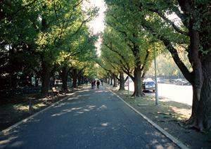 エンジンオイルには冷却という役割もある