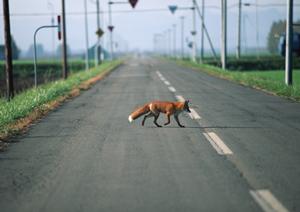 山口県下関市に位置するトヨタカローラ山口 下関店の全貌と魅力