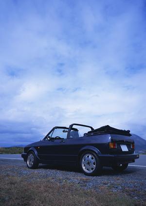 一宮市で新車リースのペット利用の注意点