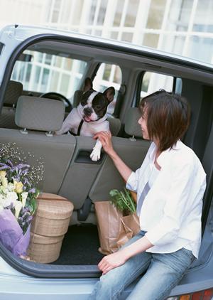 みよし市車検が重要になってきている理由