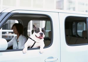 旅行先ではレンタカーを利用すると便利