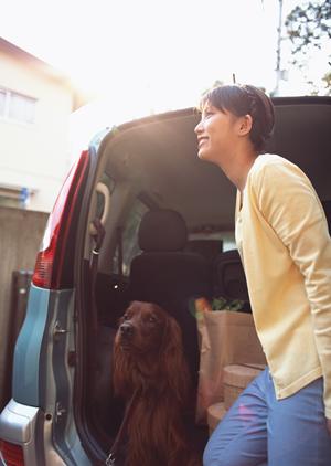 岡山で選ぶ最適なカーリース：2025年最新比較ガイド